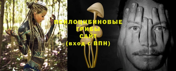 крисы Волоколамск