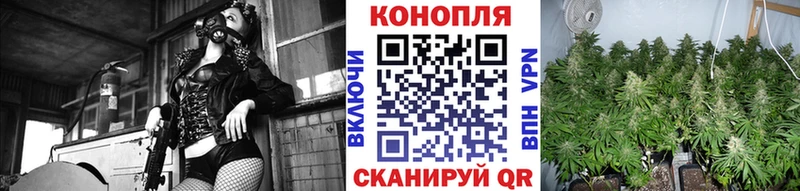 Купить  Ликино-Дулёво  Бошки марихуана индика 